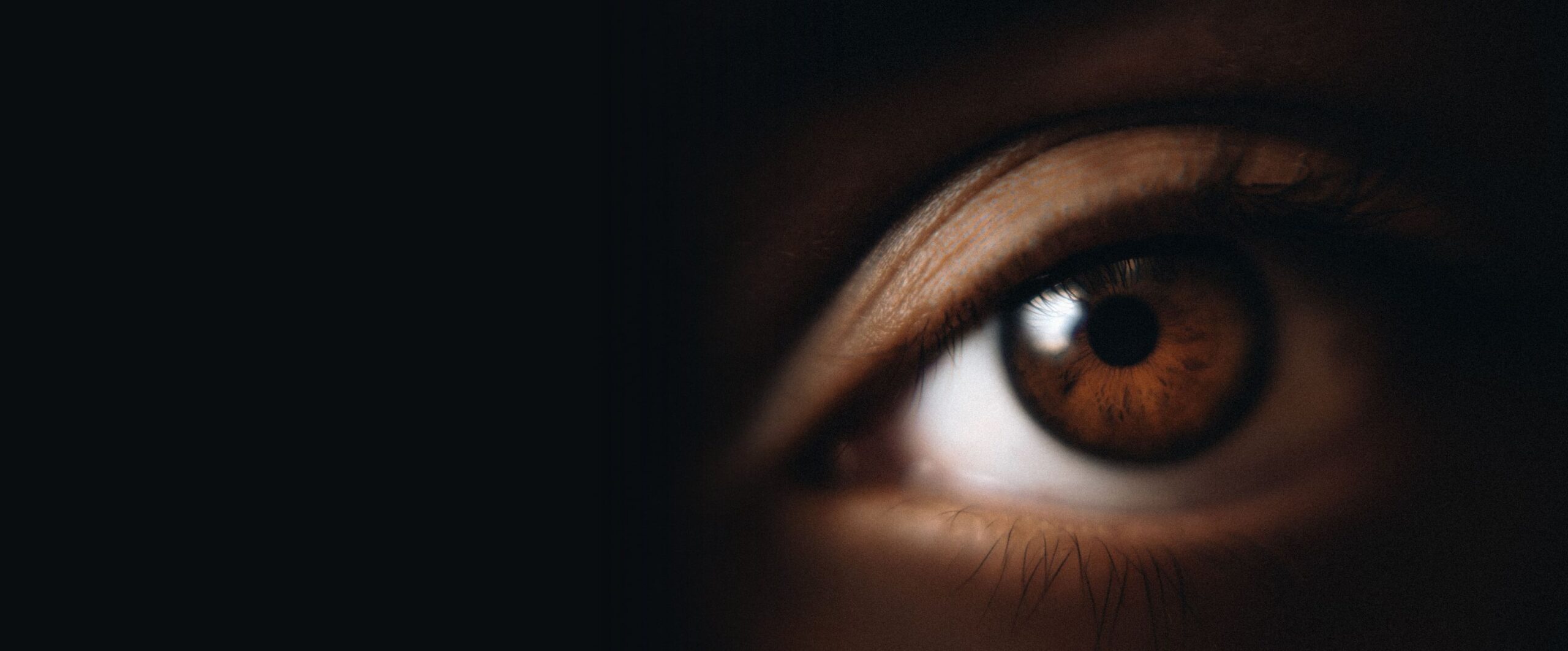 Close-up of a human eye showing the iris